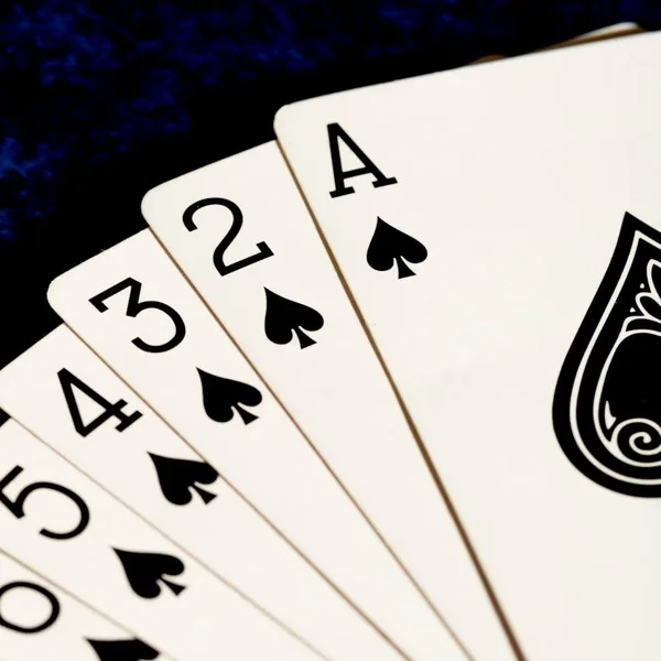 网络赌博捕鱼游戏